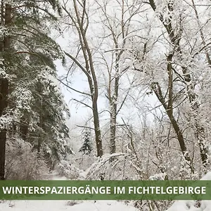 ferienwohnung-fichtelsuite-2-6-pers-nahe-ochsenkopf-sd-800m.com-bavaria.com/